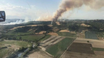 Adana’da orman yangını kontrol altına alındı
