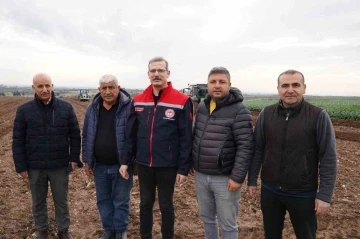 Adana’da turfanda patates toprakla buluştu
