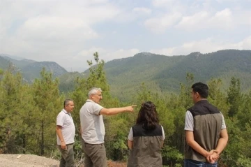 Adana OGM ormancılık faaliyetlerini yerinde inceliyor
