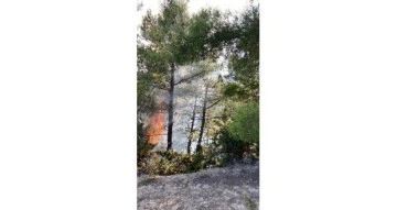 Adana'da çifte orman yangını