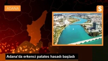 Adana'da erkenci patates hasadı başladı