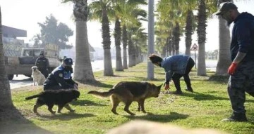 Adana’da sokak hayvanları unutulmadı