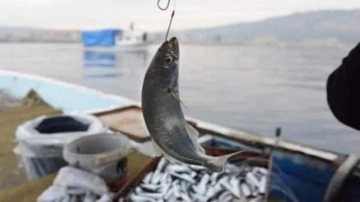 Adana'da yasa dışı avlanan 6 balıkçıya 65 bin lira ceza