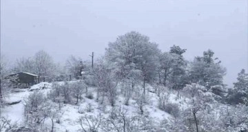 Adana’nın kuzey ilçeleri güne karla uyandı