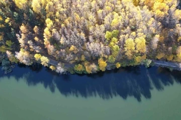 Adeta canlı bir yağlı boya tablosu: &quot;Karagöl&quot;
