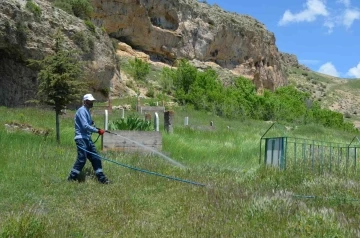 Adilcevaz Belediyesi ekipleri mezarlıklarda ilaçlama yaptı
