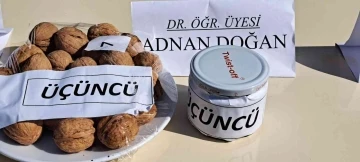 Adilcevaz’da 25. Ceviz Festivali ve Kültür Etkinlikleri düzenlendi
