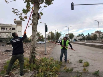 Adıyaman Belediyesi budama çalışmalarına devam ediyor
