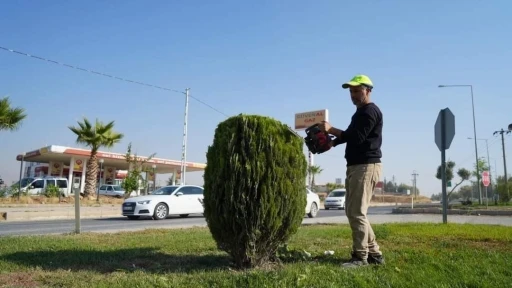 Adıyaman Belediyesi’nden kente estetik dokunuş
