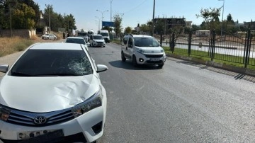 Adıyaman'da feci kaza: Otomobilin çarptığı kadın öldü