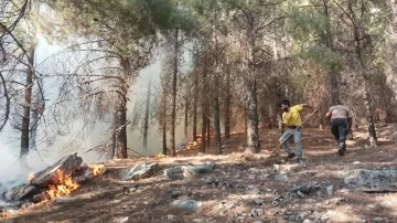 Adıyaman’da orman yangını başladı
