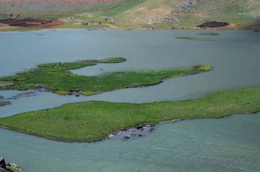 Adıyaman’da yüzen adaların kurtarılması için çalışma başlatıldı
