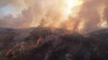 Adıyaman’daki orman yangınına müdahale sürüyor
