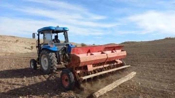 Afyonkarahisar’da buğday ve arpa ekim sezonu sone erdi
