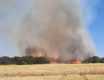 Afyonkarahisar’da dün yaşanan orman yangınında bilanço ortaya çıktı

