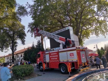 Ağaca takılan yaralı karganın imdadına itfaiye yetişti
