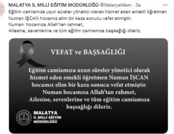 Ağaçtan düşen emekli müdür hayatını kaybetti
