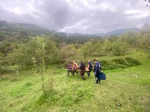 Ağaçtan düşen vatandaş 3 saat süren çaba ile hastaneye ulaştırılabildi
