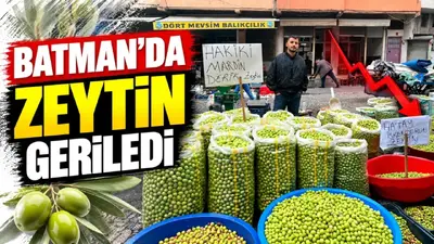 Batman’da zeytin geriledi