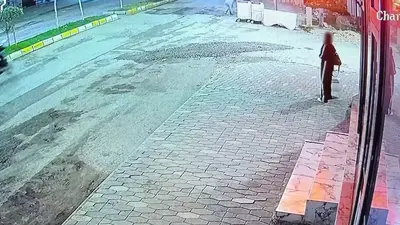 Adıyaman’da kedinin yemek yediği sırada taşlı saldırı kameraya yansıdı
