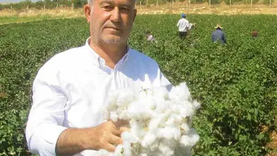 Araban’da yeni sezon kütlü pamuk alım bedelleri belirlendi