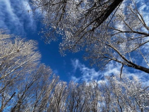 Ağrı’da soğuk hava etkisini sürdürüyor
