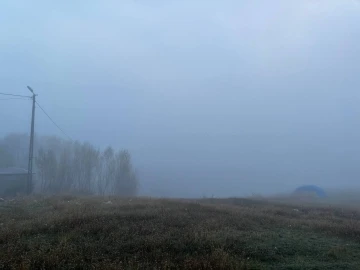 Ağrı soğuk havanın etkisine girdi
