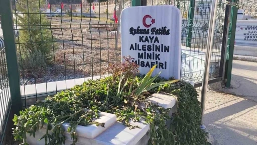 Aile mezarlığının minik misafiri
