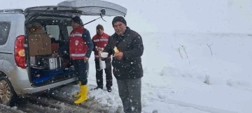 Aile ve Sosyal Hizmetler Bakanlığından yolda kalan vatandaşlara gıda yardımı
