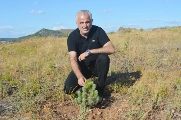 AK Parti Ayvalık İlçe Başkanı Ali Gür istifa etti
