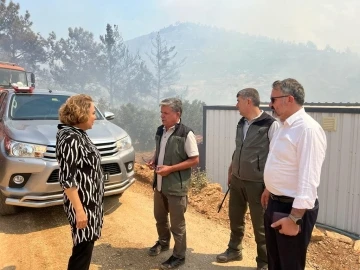 AK Parti’li Yılmaz yangın bölgesinde incelemelerde bulundu
