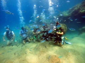 Akdeniz’in su altı dünyasını keşfediyorlar
