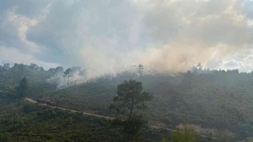 Akhisar’da orman yangını, uçak ve helikopterler müdahale ediyor
