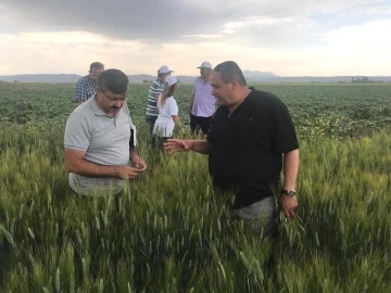 Aksaray’ın tarım arazilerinde inceleme
