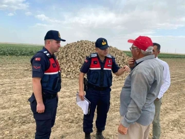 Aksaray jandarma hırsızlığa karşı tarım arazilerinde
