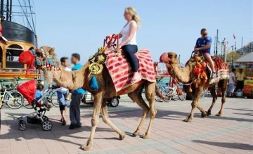 Alanya’da devecilik faaliyetlerine son verildi
