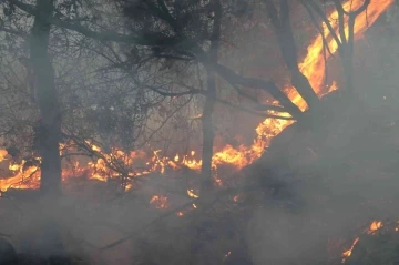 Alanya’da ikinci orman yangını büyümeden söndürüldü
