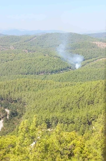 Alanya’da orman yangınında 2 dönüm alan zarar gördü
