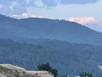 Alanya’da orman yangınında 5 dönüm alan zarar gördü
