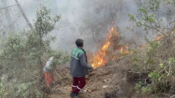 Alanya’da orman yangınında yaklaşık 10 dönüm zarar gördü
