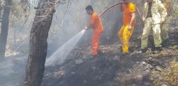 Alanya’daki orman yangını büyümeden kontrol altına alındı
