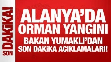 Alanya'da orman yangını: Bakan Yumaklı'dan son dakika açıklamaları!