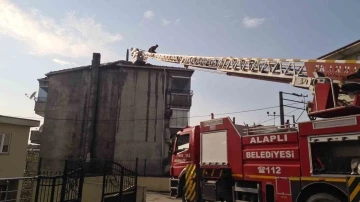 Alaplı’da fırın bacası yandı, dumanı görenler panik yaşadı
