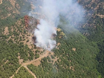 Alaşehir’de orman yangını
