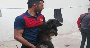 Alevler arasında kalan köpek son anda kurtarıldı