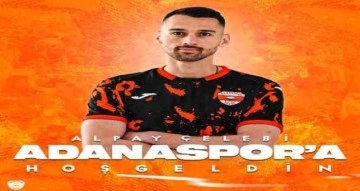 Alpay Çelebi Adanaspor’da