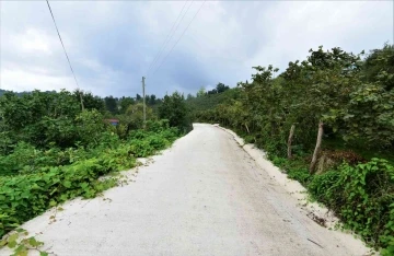 Altınordu’da beton yol çalışmaları devam ediyor
