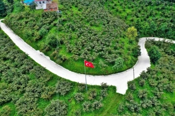 Altınordu’da beton yol çalışmaları sürüyor
