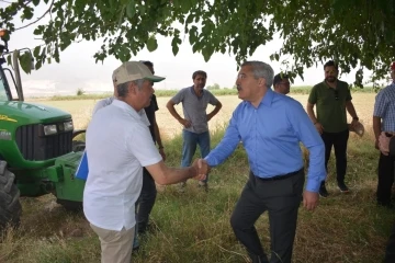 Amik Ovası’nda buğday hasadı başladı
