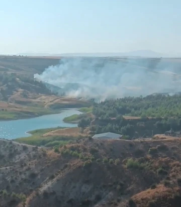 Anız yangını ağaçlık alana sıçradı
